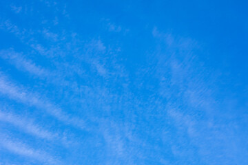 Fototapeta na wymiar Blue sky with lush clouds, copying space
