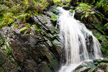 Beautiful waterfall in the forest of Karelia, waterfall in the valley, Russia, Karelia