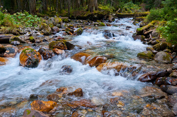 Fototapeta na wymiar A mountain river flows over the stones in the forest.
