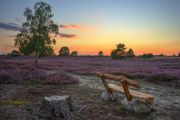 Die Heide im Abendrot