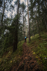 Mountain landscape. Misty forest. Natural outdoor travel background. Slovakia, Low Tatras, Demenovska hora and dolina vyvierania. Liptov travel. © Zedspider