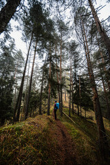 Mountain landscape. Misty forest. Natural outdoor travel background. Slovakia, Low Tatras, Demenovska hora and dolina vyvierania. Liptov travel. © Zedspider