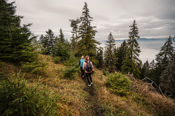 Mountain landscape. Misty forest. Natural outdoor travel background. Slovakia, Low Tatras, Demenovska hora and dolina vyvierania. Liptov travel. © Zedspider