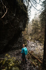Mountain landscape. Misty forest. Natural outdoor travel background. Slovakia, Low Tatras, Demenovska hora and dolina vyvierania. Liptov travel. © Zedspider