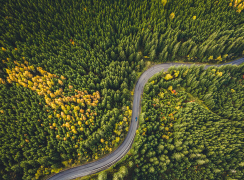 Aerial top view of misty forest with road in the mountains. Drone photography. Rainforest ecosystem and healthy environment concept.