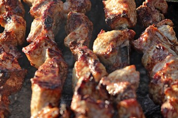 Meat on the fire, barbecue, shish kebab 