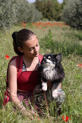 jeune fille avec un chihuahua dans un champ de coquelicots - 433123189