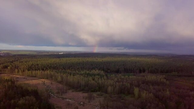 Autumnal forest with dramatic sky and rainbow. 4k AERIAL.