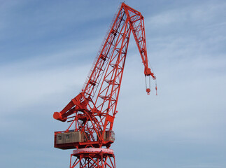 Red Crane On Blue Sky