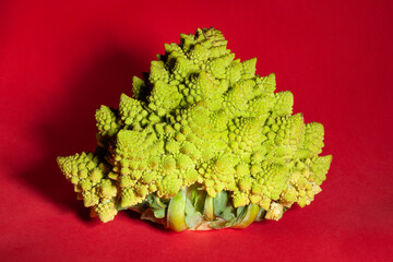 romanesco broccoli on red background