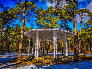 Rotonda in Palanga, where symphonic music performances take place in summer. Rotonda among pines ir a forest