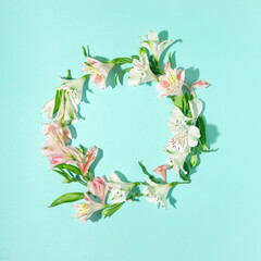 Beautiful composition with alstroemeria flowers lying in round shape on pastel blue background. Nature concept. Top view. Flat lay