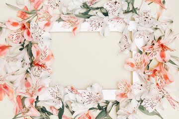 Floral composition with beautiful alstroemeria flowers and white frame on pastel background. Nature concept. Top view. Flat lay