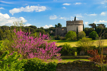 Circus of Maxentius panorama from the top of all the vegetation in spring. The Mausoleum of Cecilia Metella in a day of blue sky and clouds, with a beautiful tree in bloom, Rome, Appia Antica Italy