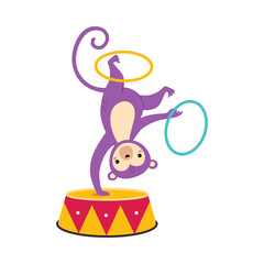 Circus Monkey Animal Somersaulting on Drum with Hula Hoops Performing Trick Vector Illustration