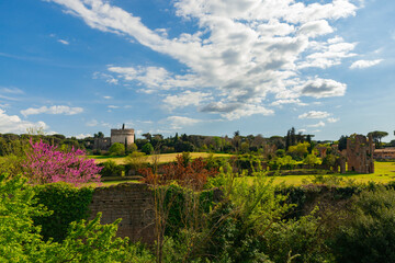 Panorama from the top of the Circus of Maxentius, with the Mausoleum or tomb of Cecilia Metella on a day of blue sky and clouds, with a beautiful pink flowering tree, Rome Appia Antica, Italy.