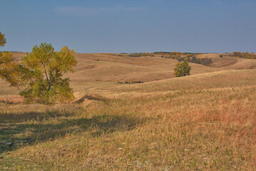 Obraz premium Rolling prairie landscape of remote Nebraska in the fall