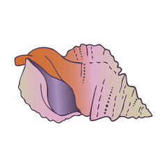 Decorative isolated colorful gradient vector elegant illustration design of seashell