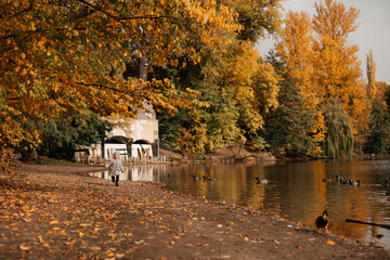 Obraz premium Golden autumn, a 4-year-old girl in a gray coat is walking near the lake in the autumn park