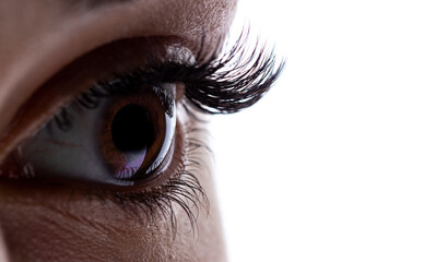 eye of the person brown