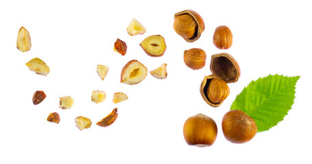 Falling hazelnuts isolated on white background, banner. Flat lay composition of hazelnuts: whole,...