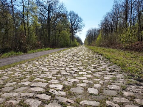 secteur pav&eacute; Wallers-Arenberg - Dr&egrave;ve boucle D'H&eacute;rin - au c&oelig;ur de la for&ecirc;t de Raismes-Saint-Amand-Wallers. Rendue c&eacute;l&egrave;bre par  Paris-Roubaix, &eacute;tape du tour de France, parcours flamme Olympique