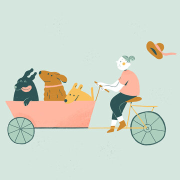 Granny riding a cargo bike and carrying her three dogs