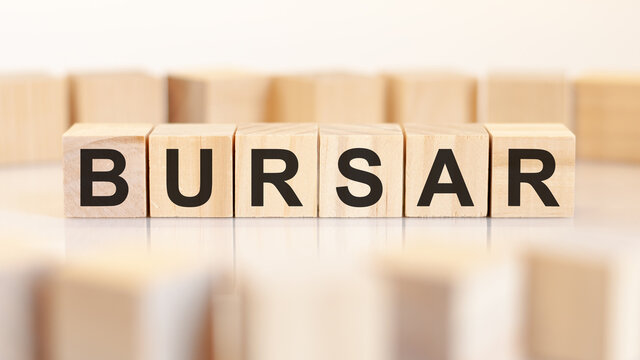 word bursar written on wood block, concept