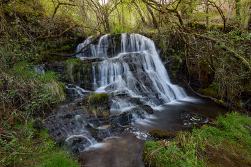 Waterfall in a beautiful forest in the area of Galicia, Spain.
