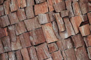 wooden tree slice rings timber texture surface backdrop