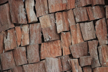 wooden tree slice rings timber texture surface backdrop
