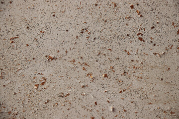 stone wall background surface backdrop