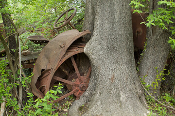 Old Tractor within Tree