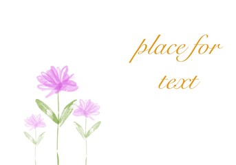 illustration of pink flowers on a white background. place for your text