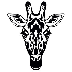 Vector head of mascot giraffe head isolated on white © alinart