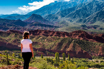 Mujer turista disfrutando de los paisajes coloridos de la Cuesta del Miranda, en la Provincia de la...