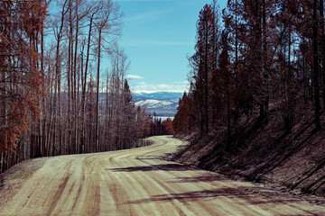 Landscape, road to lake, grand lake, Colorado, USA, 