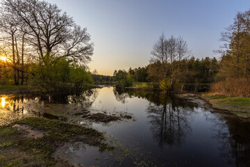 Spring landscape with a river. bushes and trees. The evening sun illuminates the landscape. The rays of the setting sun.