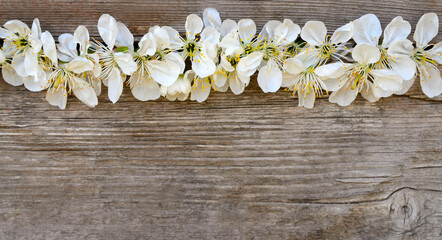 Cherry flowers on old wooden background.Wood texture with spring blossom.Springtime concept with space for text.Selective focus.