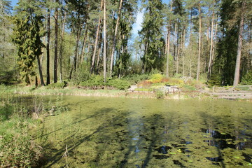 Staw. Kudypy. Leśne Arboretum. Polska - Mazury - Warmia.