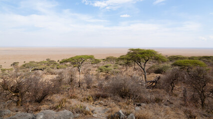 Road to Serengeti national park, Tanzania landscape