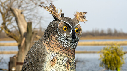 Rubber toy of owl. Owl Figure is symbol for money and wealth. Hunting concept.