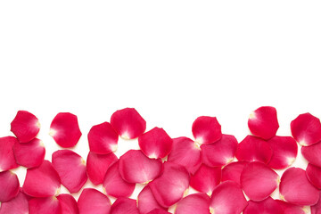 Tender floral background with frame made from fresh red rose petals isolated on white.