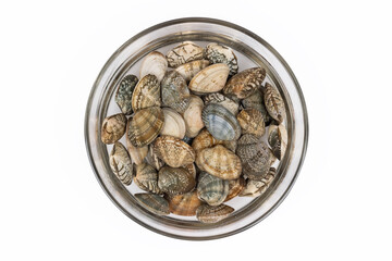 short necked clam in a glass bowl with water