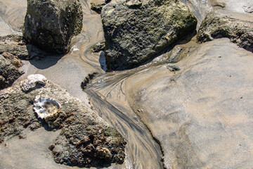 Sand Patterns in a Tidal Pool, Mission Bay, San Diego, California