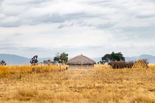 landscape with hut in africa