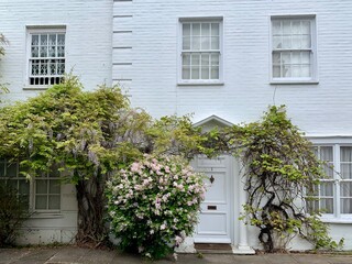 Fototapeta na wymiar LONDON, UNITED KINGDOM - 09.05.2021. Fragment of facade of white brick house in South Kensington. Front garden with blossoming trees. Selective focus