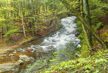 Grayville Falls as seen from above