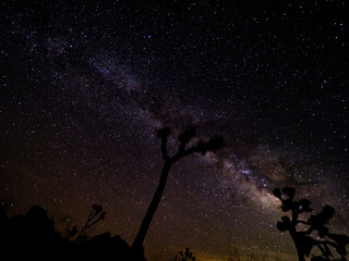 Fototapeta premium starry night sky
