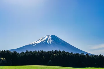 Foto op Canvas 静岡県朝霧高原からの富士山 © Kazu8